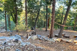 22166 Crestline, Palomar Mountain, CA 92060 - Photo 42