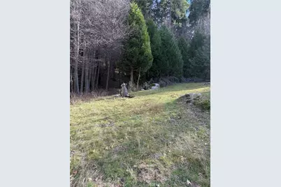 29649 Hook Creek Road, Cedar Glen, CA 92321 - Photo 12