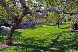 179 Avenida Majorca, Laguna Woods, CA 92637 - Photo 2