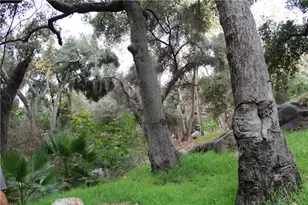 0 Buena Vista, Temecula, CA 92590 - Photo 4