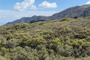 20861 Porter Ranch, Trabuco Canyon, CA 92679 - Photo 74