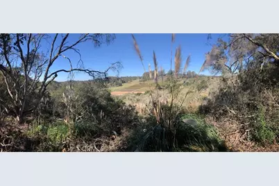 221 Tucker Road, Royal Oaks, CA 95076 - Photo 4