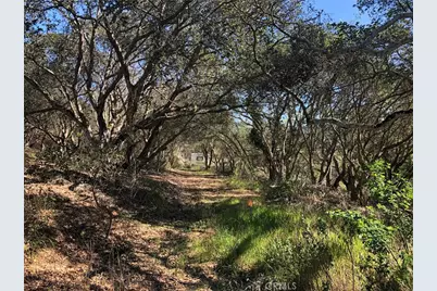 221 Tucker Road, Royal Oaks, CA 95076 - Photo 8