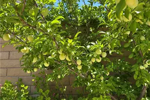 24615 Kings Rd, Laguna Niguel, CA 92677 - Photo 38