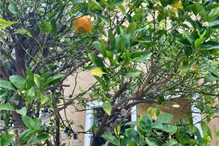 12891 MacKenzie Dr, Tustin, CA 92782 - Photo 40