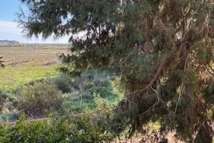 5176 107 Tortuga, Huntington Beach, CA 92649 - Photo 32