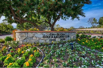 16 Golden Poppy, Coto de Caza, CA 92679 - Photo 46