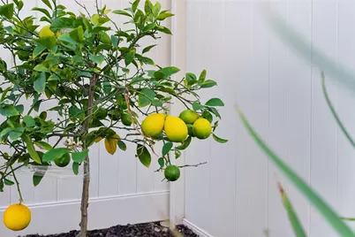 36628 Diego Springs Avenue, Murrieta, CA 92563 - Photo 34