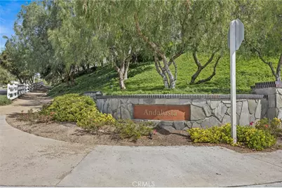 48 Spoon, Coto de Caza, CA 92679 - Photo 38