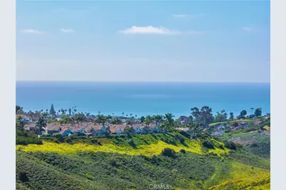 1405 Manera Ventosa, San Clemente, CA 92673 - Photo 28
