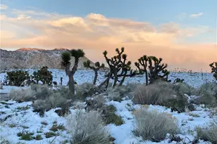 9780 Fay Ranch, Weldon, CA 93240 - Photo 62