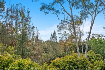 1 Rainbow Falls, Irvine, CA 92603 - Photo 30