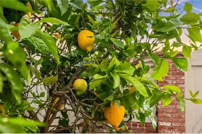 3 Candlebush, Irvine, CA 92603 - Photo 10