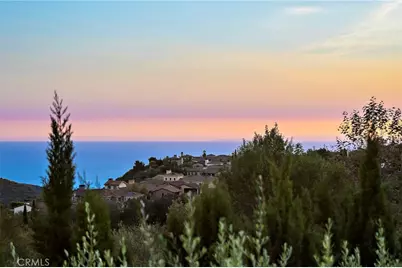 6 Canyon Peak, Newport Coast, CA 92657 - Photo 34