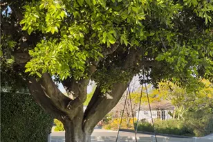 389 Mira Loma, Costa Mesa, CA 92627 - Photo 20