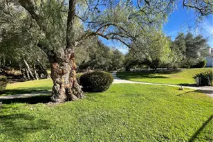 31601 Via Conejo, Coto de Caza, CA 92679 - Photo 28