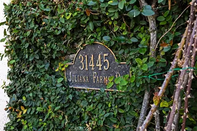 31445 Juliana Farms Road, San Juan Capistrano, CA 92675 - Photo 62