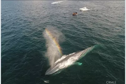 24839 #4 Nueva Vista, Laguna Niguel, CA 92677 - Photo 30