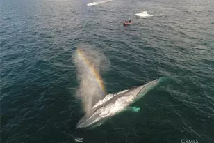 24839 #4 Nueva Vista, Laguna Niguel, CA 92677 - Photo 30