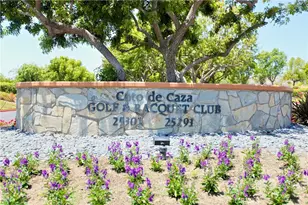 30882 Via Colinas, Coto de Caza, CA 92679 - Photo 62