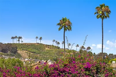 31482 Carril De Maderas, San Juan Capistrano, CA 92675 - Photo 16