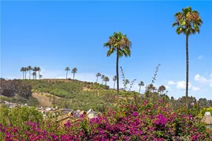 31482 Carril De Maderas, San Juan Capistrano, CA 92675 - Photo 16