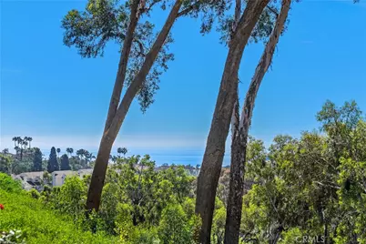 51 Hancock, Laguna Niguel, CA 92677 - Photo 42