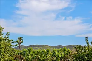 31872 Paseo Cielo, San Juan Capistrano, CA 92675 - Photo 34