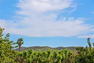 31872 Paseo Cielo, San Juan Capistrano, CA 92675 - Photo 34