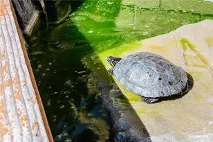 18237 Solano River Ct, Fountain Valley, CA 92708 - Photo 18