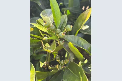 1500 Walton Street, Oceanside, CA 92058 - Photo 14