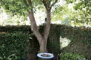 21 Winslow St, Ladera Ranch, CA 92694 - Photo 40