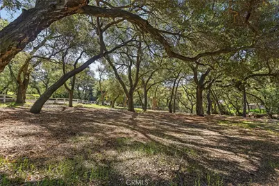 19411 Live Oak Canyon, Trabuco Canyon, CA 92679 - Photo 6