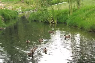 859 Ronda Mendoza, Laguna Woods, CA 92637 - Photo 32