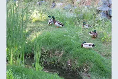 859 Ronda Mendoza #D, Laguna Woods, CA 92637 - Photo 30