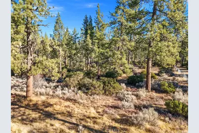 1 Pipe Creek Road, Mountain Center, CA 92561 - Photo 2