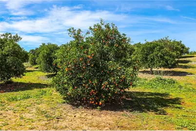 33743 Plowshare, Wildomar, CA 92595 - Photo 30