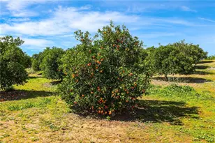 33743 Plowshare, Wildomar, CA 92595 - Photo 30