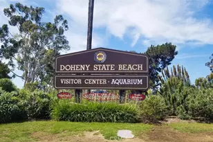 1309 Doheny Way, Dana Point, CA 92629 - Photo 44