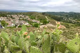 10533 Emerson Bend, Tustin, CA 92782 - Photo 52