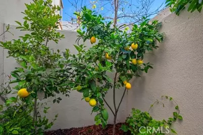 165 Frame, Irvine, CA 92618 - Photo 14