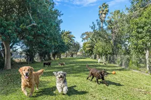 4482 Shorebird St, Huntington Beach, CA 92649 - Photo 54