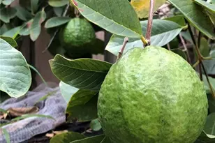 3 Ardmore, Irvine, CA 92602 - Photo 42