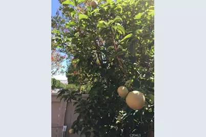 3 Ardmore, Irvine, CA 92602 - Photo 40