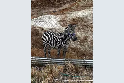 300 Anderson, Hemet, CA 92544 - Photo 4