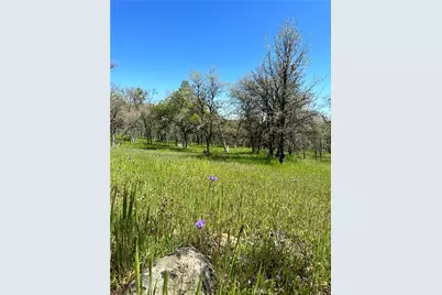 18461 Old Wards Ferry Road, Sonora, CA 95370 - Photo 10