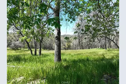 18461 Old Wards Ferry Road, Sonora, CA 95370 - Photo 8