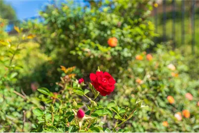 34278 Torrey Pines Court, Lake Elsinore, CA 92532 - Photo 30