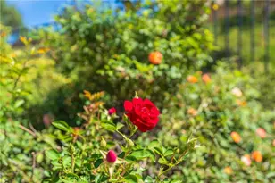 34278 Torrey Pines Ct, Lake Elsinore, CA 92532 - Photo 30