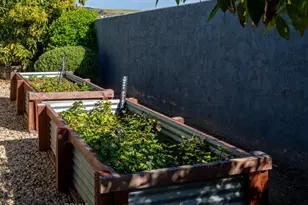 1807 Valencia, Carlsbad, CA 92008 - Photo 28